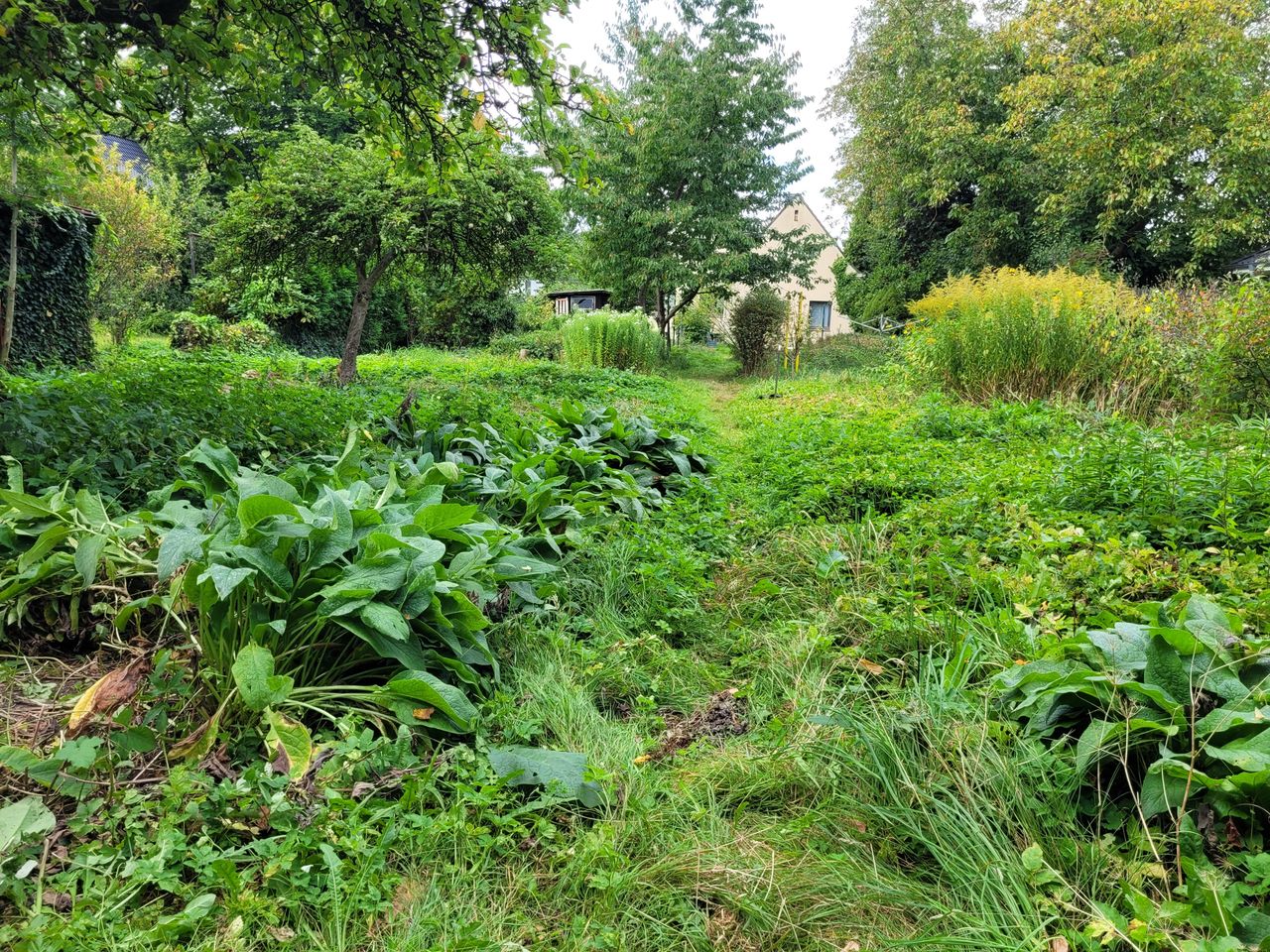 Baugrundstück für ein Einfamilienhaus, direkt am Böverspark